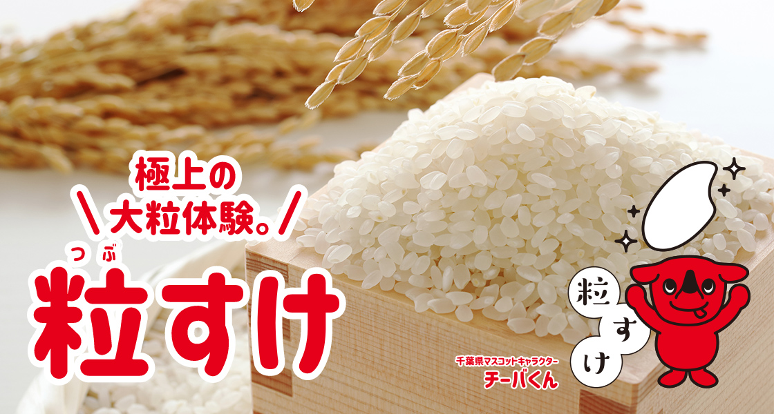 粒すけ